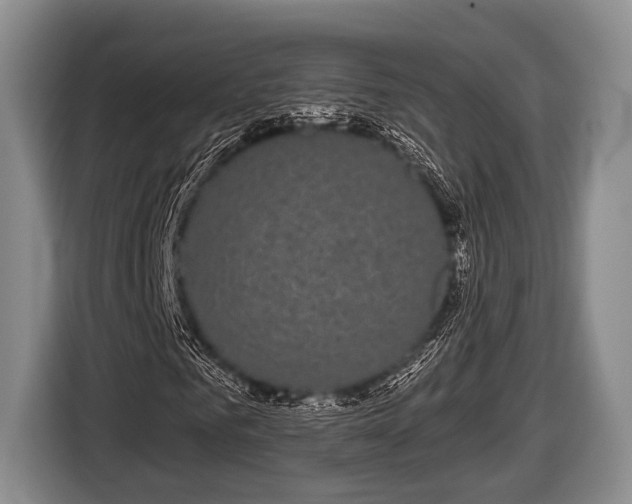 X0000116850961200912291237