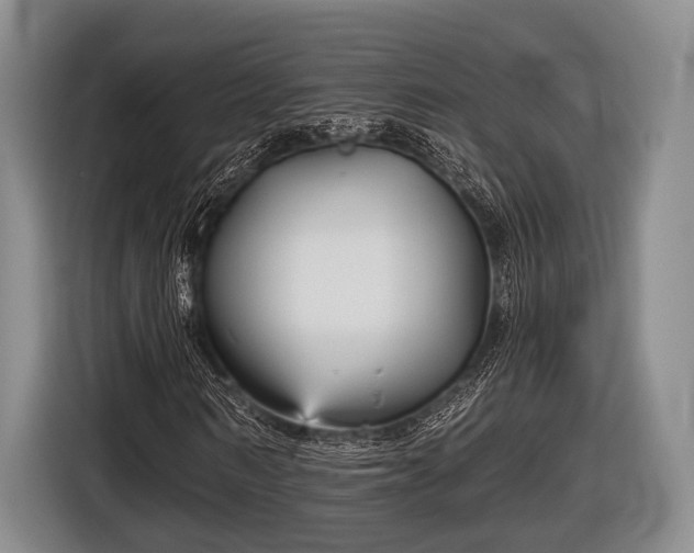 X0000116850962200912291237