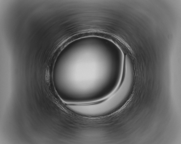 X0000116850969200912291237