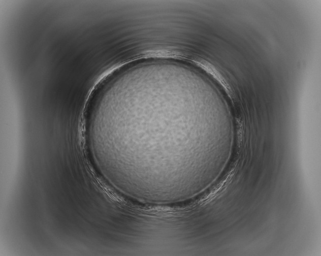 X0000116850971200912291237