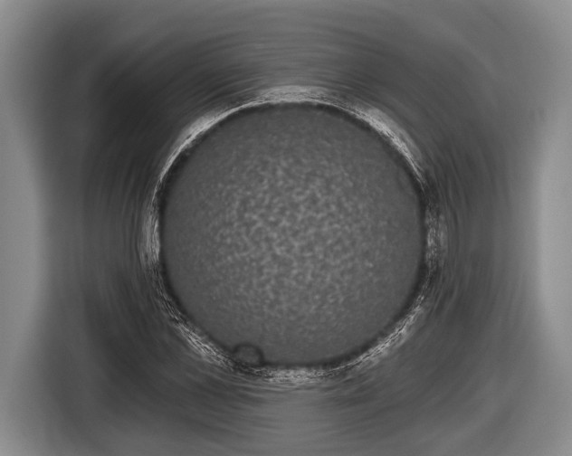 X0000116850973200912291237