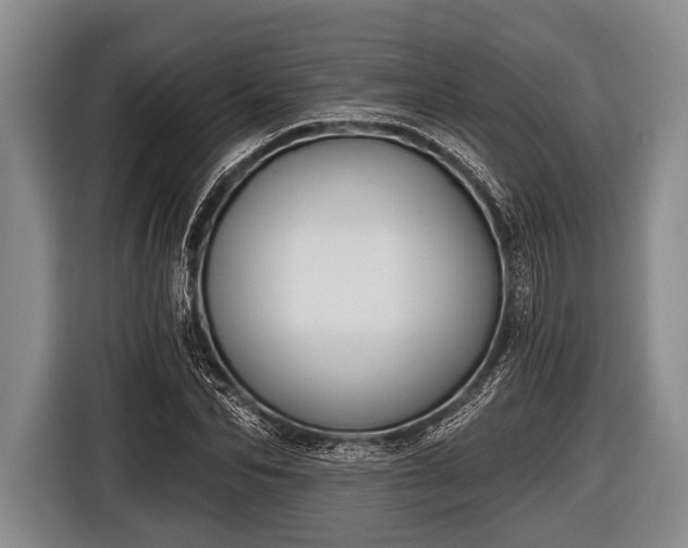 X0000116850974200912291237