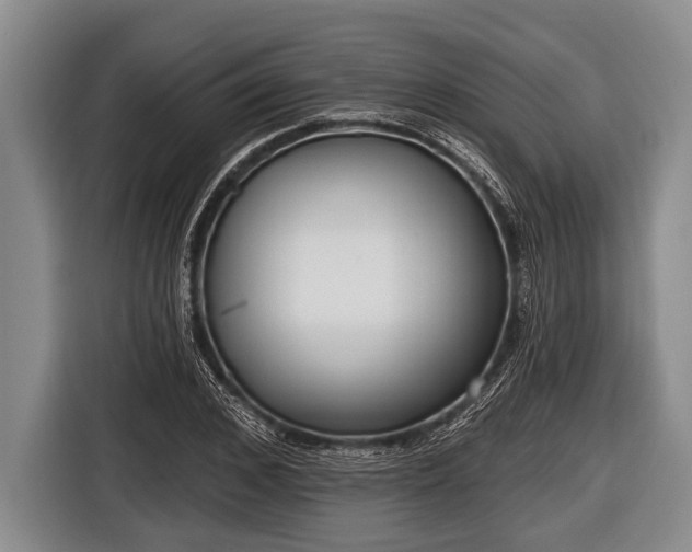 X0000116850976200912291237