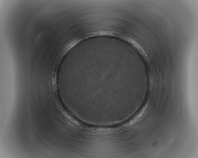 X0000116850977200912291237