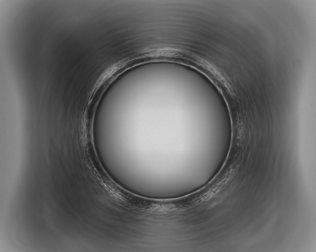 X0000116850978200912291237