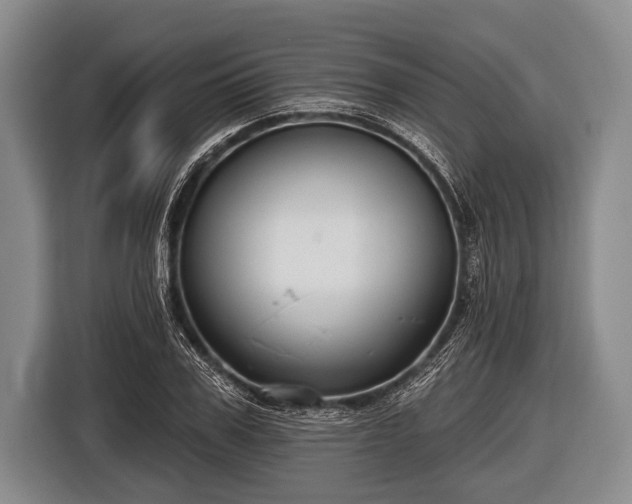 X0000116850979200912291237