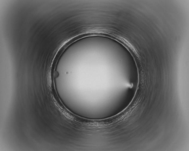 X0000116850980200912291237