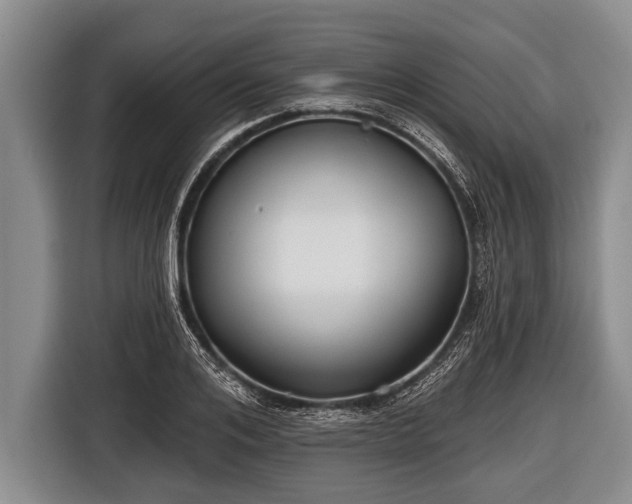 X0000116850984200912291236