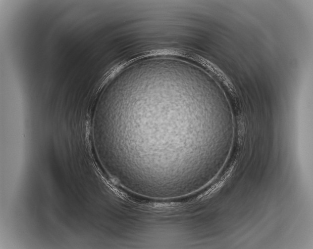 X0000116850985200912291236