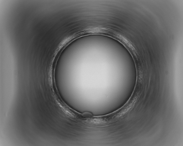 X0000116850986200912291236