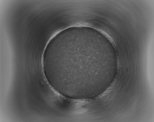 X0000116850990200912291236
