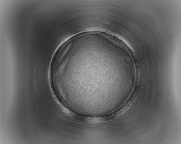X0000116850991200912291236