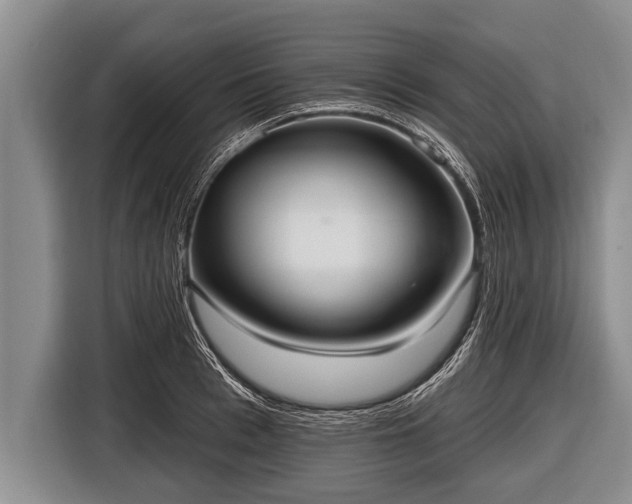 X0000116850993200912291236