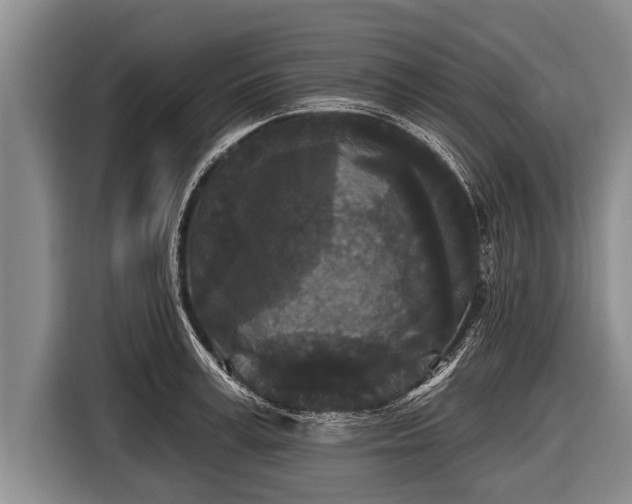 X0000116850995200912291236