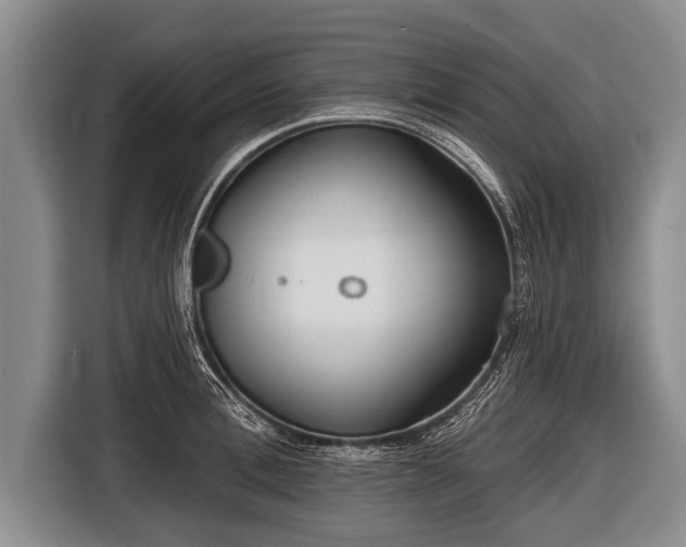 X0000116850996200912291236