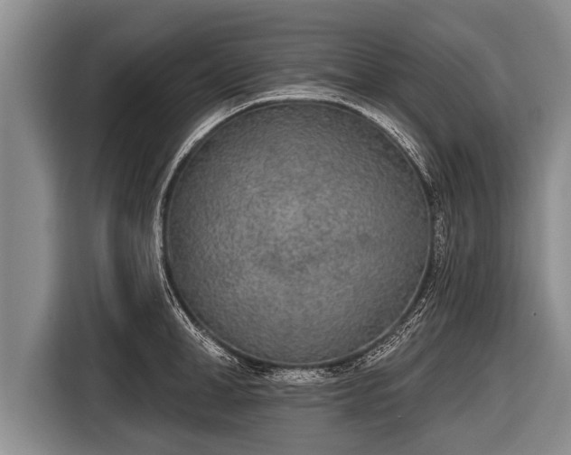 X0000116850998200912291236