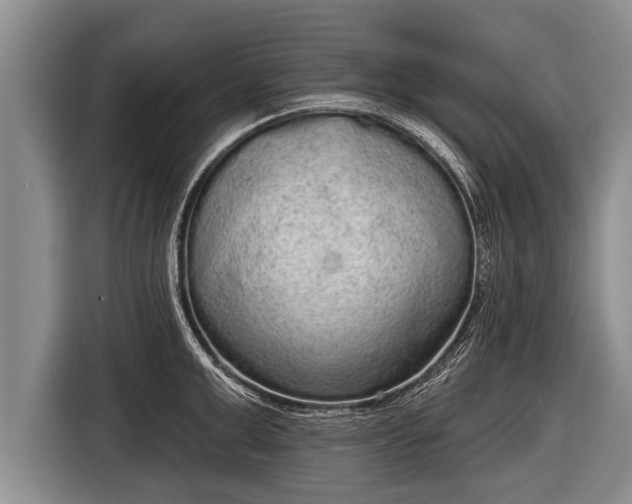 X0000116850999200912291236