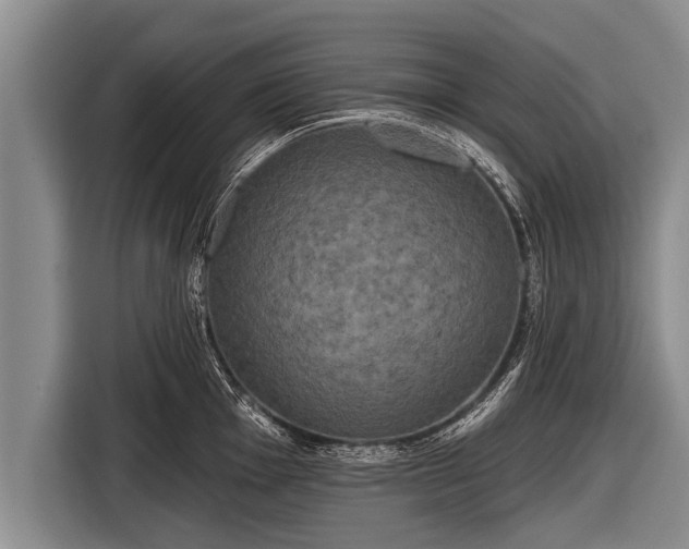 X0000116851001200912291236