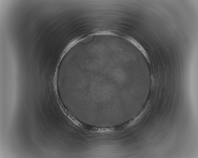 X0000116851002200912291236