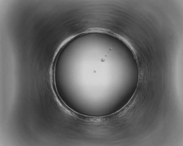 X0000116851003200912291236