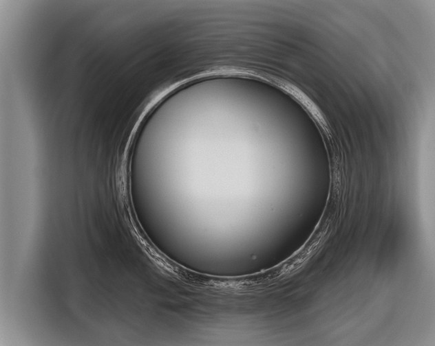 X0000116851004200912291236