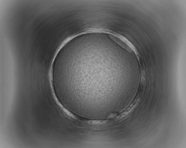 X0000116851005200912291236