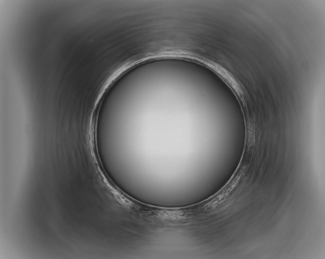 X0000116851006200912291236