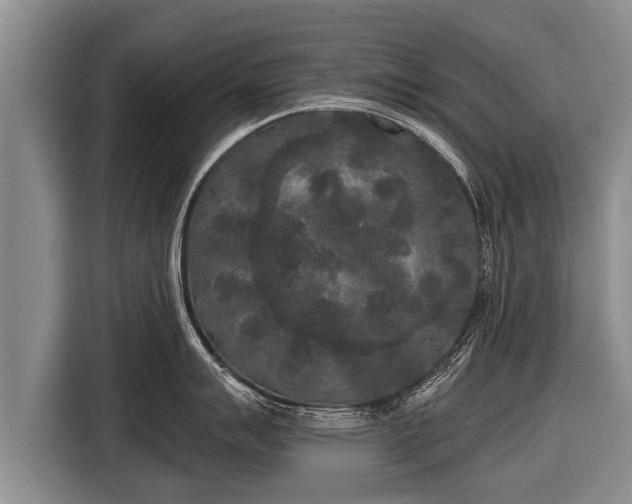 X0000116851007200912291236