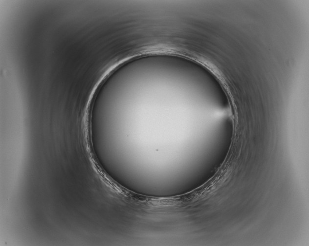 X0000116851008200912291236