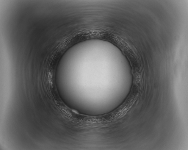 X0000116851010200912291236