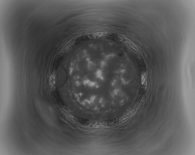 X0000116851011200912291236