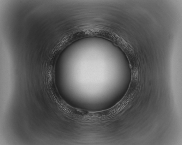 X0000116851012200912291236
