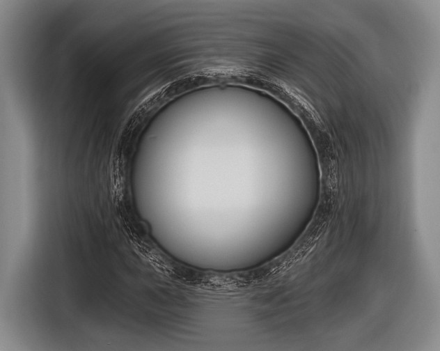 X0000116851015200912291236