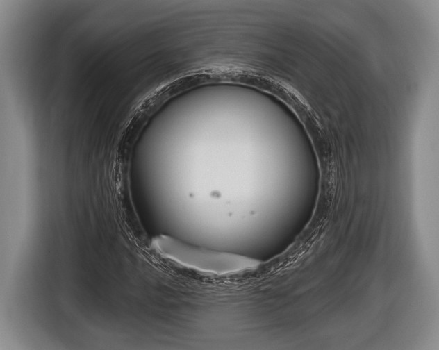 X0000116851016200912291236