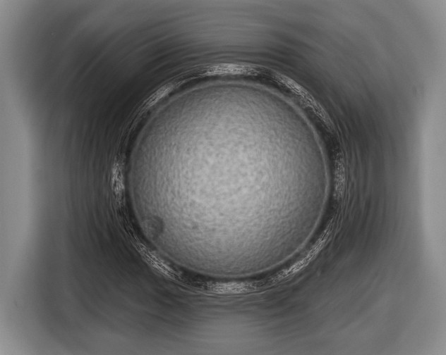 X0000116851017200912291236