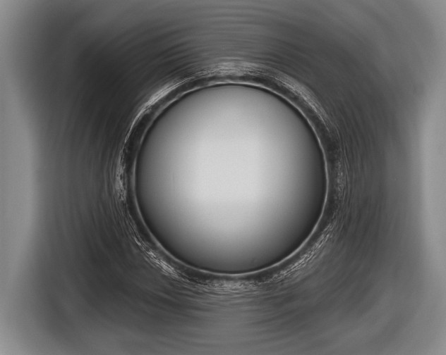 X0000116851018200912291236