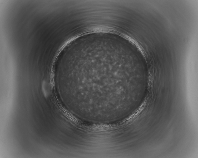 X0000116851019200912291236