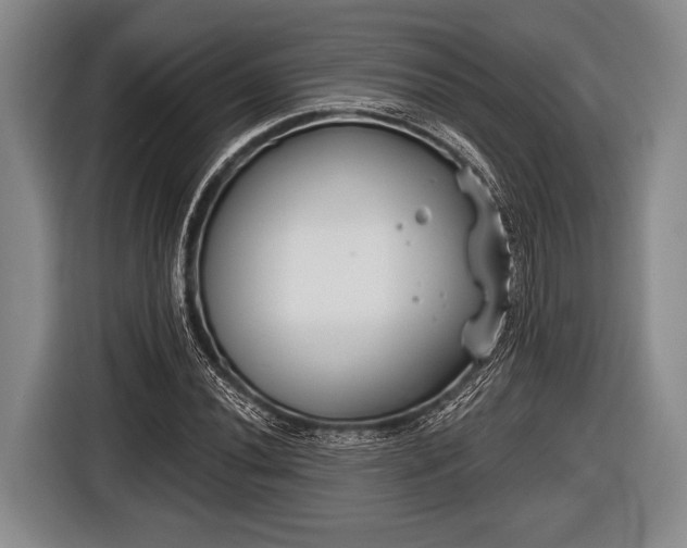 X0000116851020200912291236