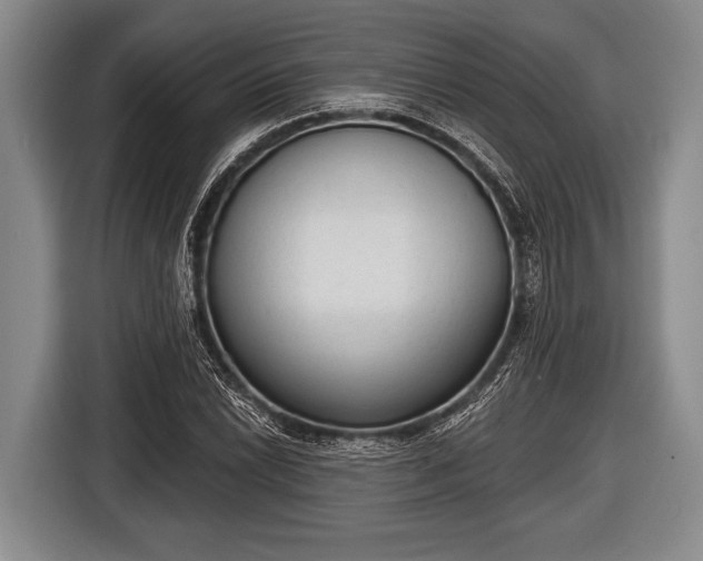 X0000116851022200912291236