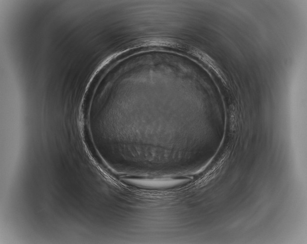 X0000116851024200912291236