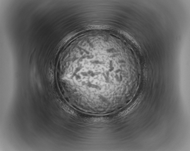 X0000116851025200912291236