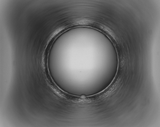X0000116851026200912291236