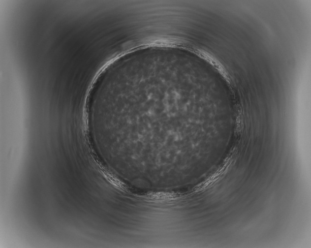 X0000116851027200912291236