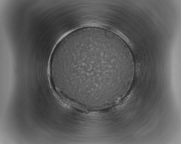 X0000116851028200912291236