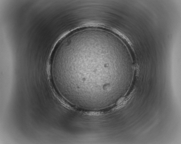 X0000116851029200912291236