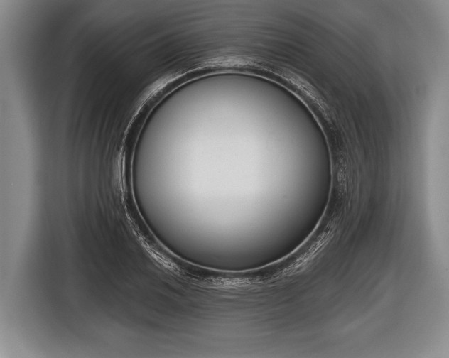 X0000116851030200912291236