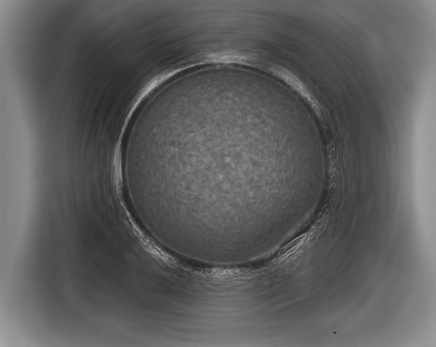 X0000116851032200912291236