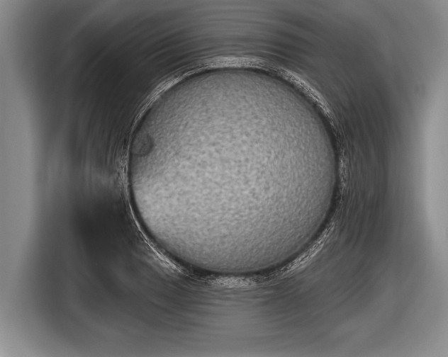 X0000116851033200912291236