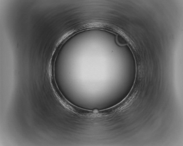 X0000116851034200912291236