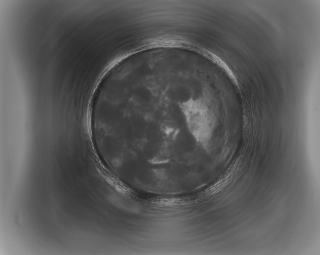 X0000116851035200912291236